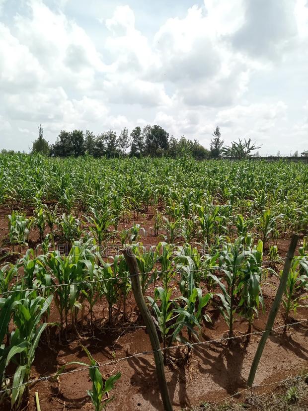 One Acre Elgonview Upper With Title - thumbnail 2