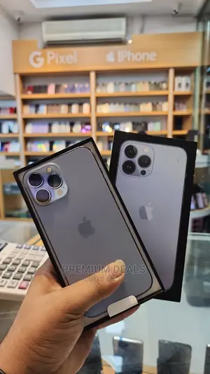 Apple iPhone 12 Pro Max 256 GB Gray