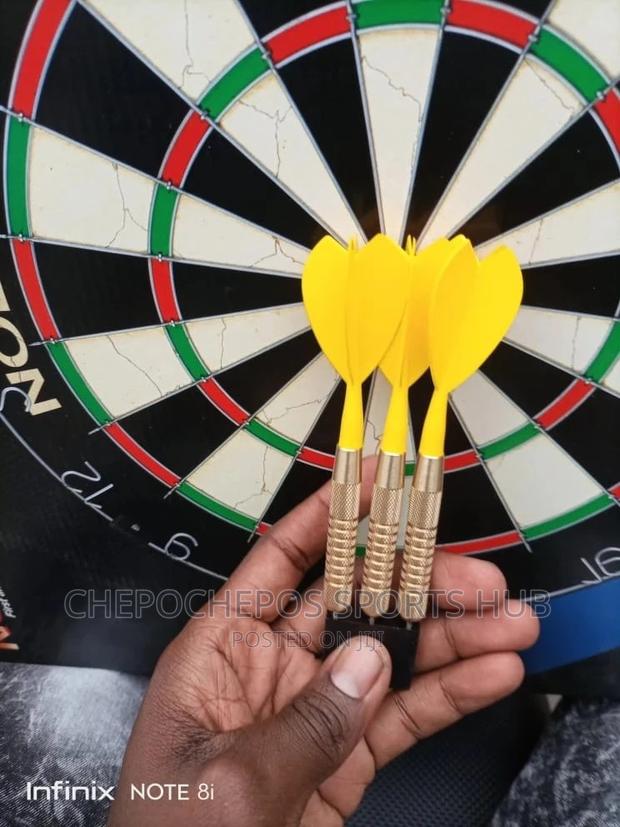 Professional Dartboard - thumbnail 2
