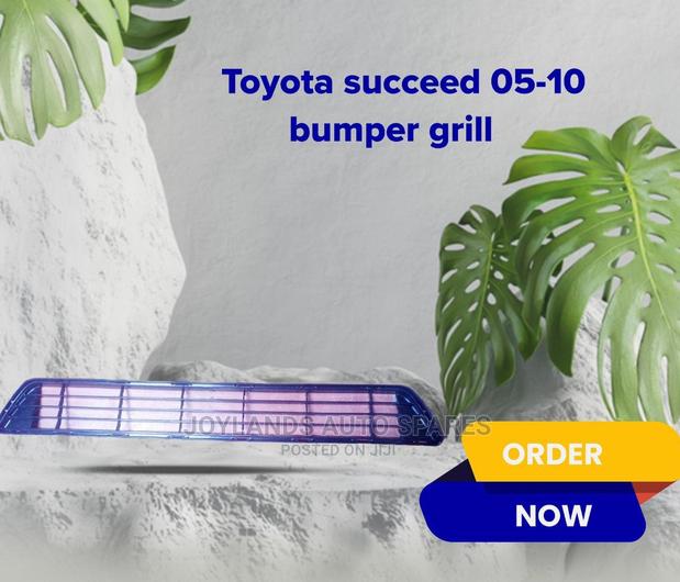 Succeed 05-10 Bumper Grille - main view