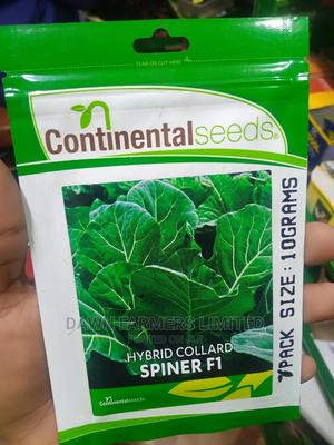 Spinner F1 - main view