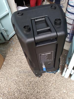 Pro Sounds LX 15pro Speaker - thumbnail 2