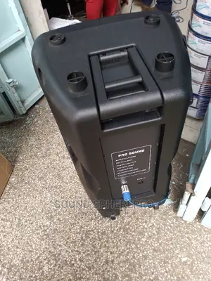 Pro Sounds LX 15pro Speaker