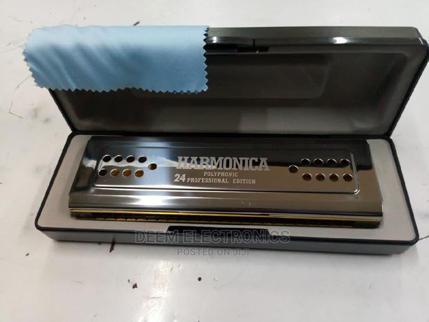 Harmonica 24holes Swan - main view