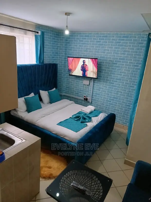 Furnished Studio Apartment in Attic Place, South B for rent