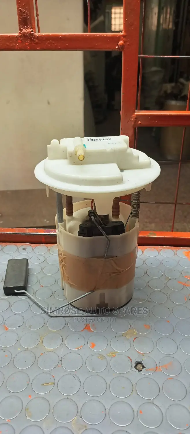Peugeot Fuel Pump.