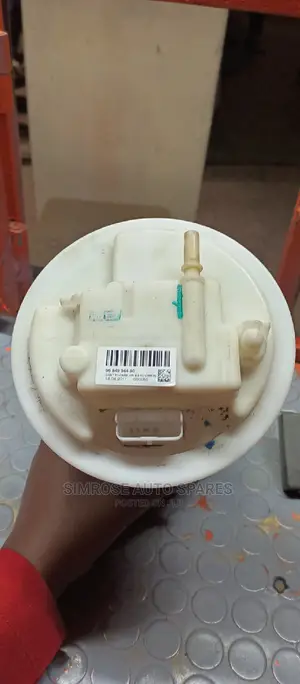 Peugeot Fuel Pump.