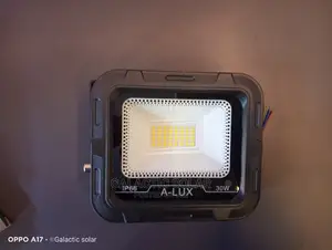 30w Floodlight