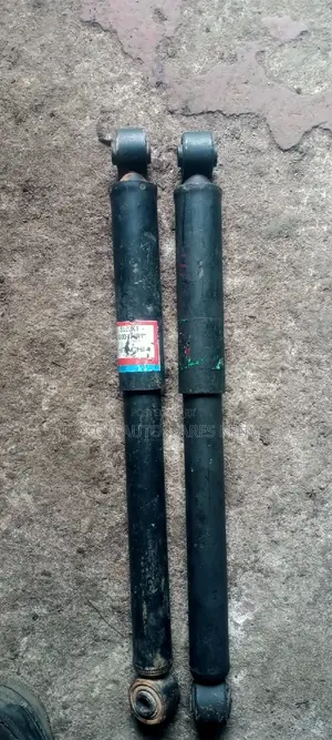 Suzuki Alto Rear Shocks