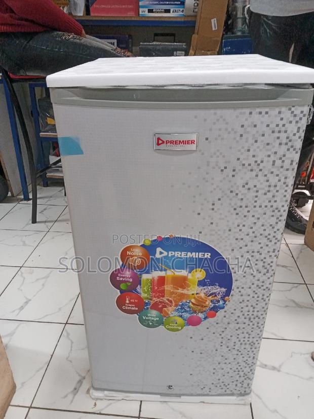 Premier Solar DC Refrigerator 12V /24v 90L Best Products