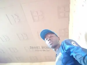 Skilled Carpenter