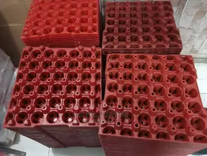 Empty Plastic Egg Trays