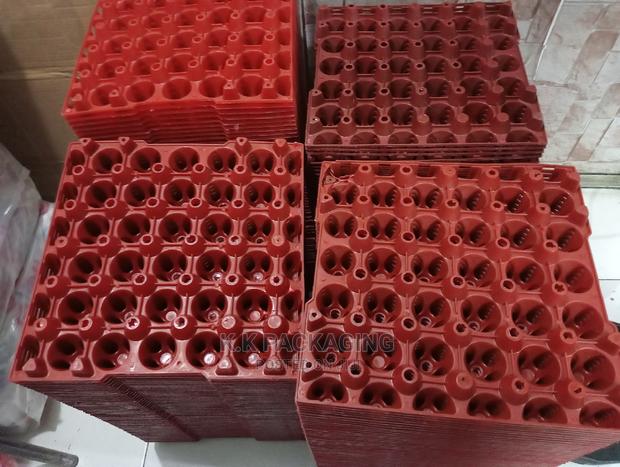 Empty Plastic Egg Trays - thumbnail 2