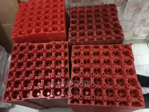 Empty Plastic Egg Trays