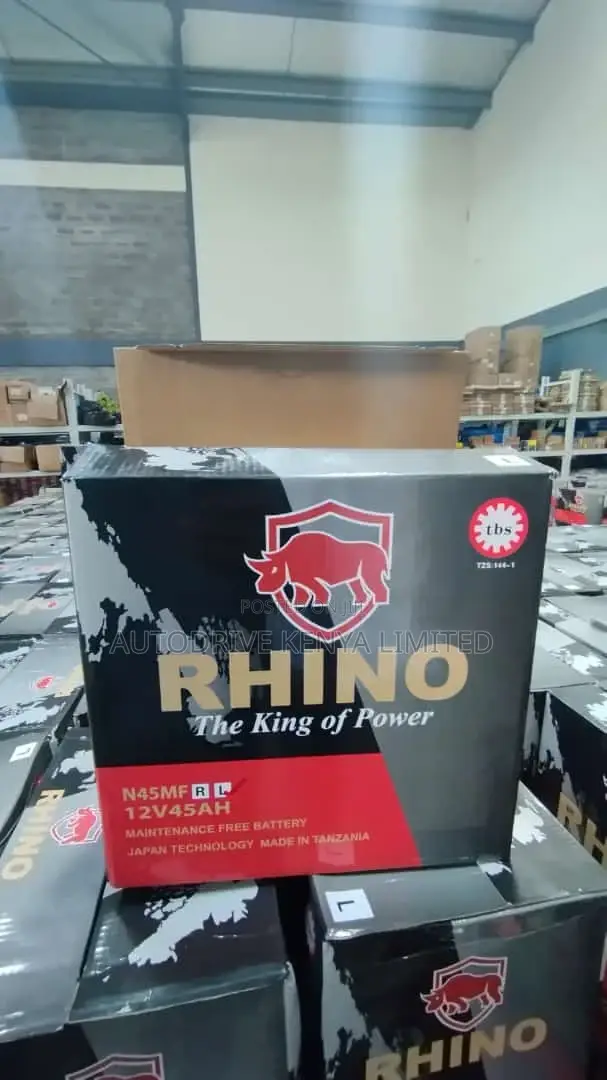 NS60L Rhino Battery