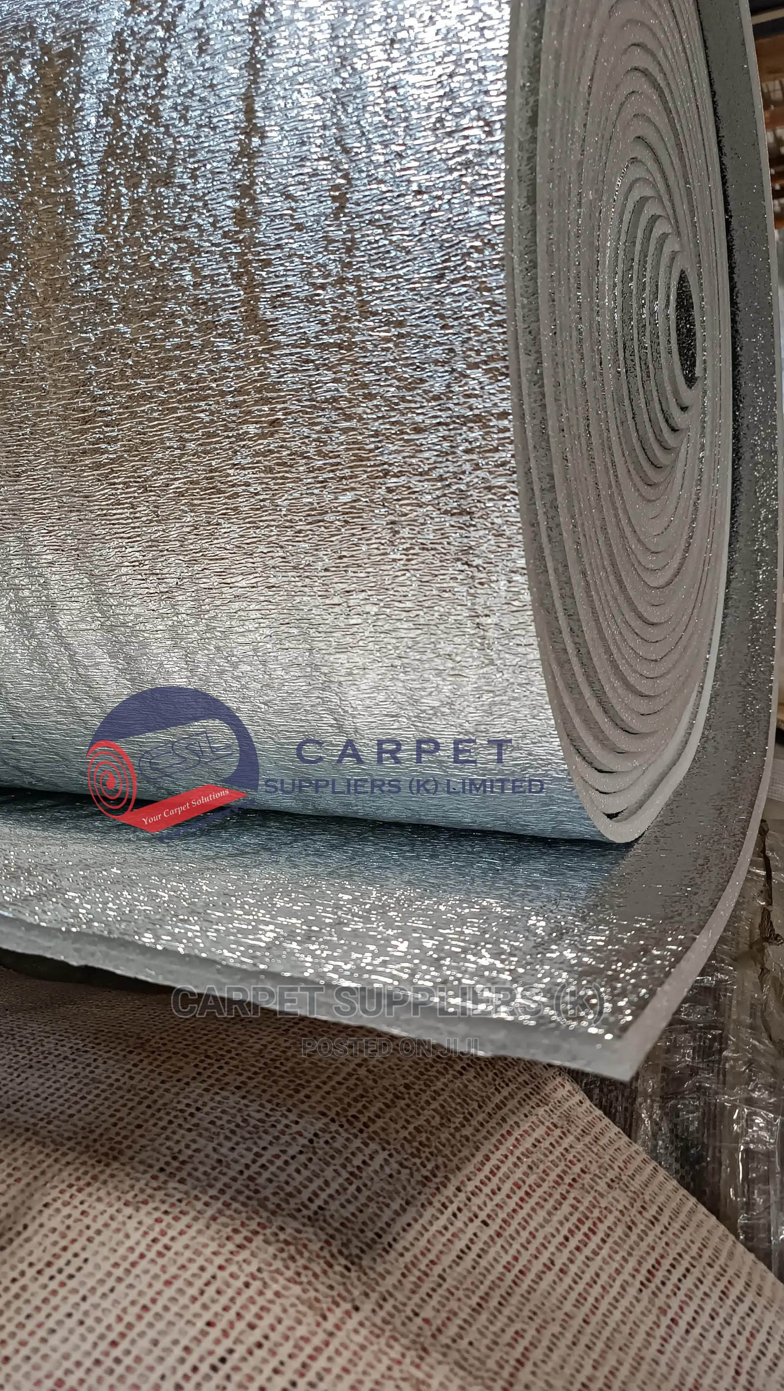 Ceiling Insulation