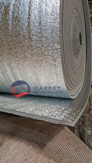 Ceiling Insulation
