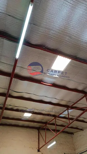 Ceiling Insulation