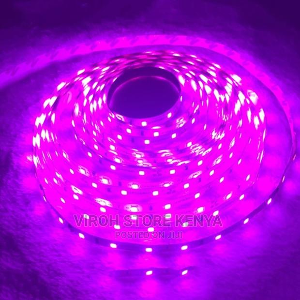 5metres Snake Multicolor Light LED