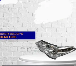 Fielder/Axio 2017 Head Lens/Headglass