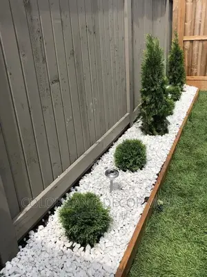 White Pebbles Stones For Compound Decor