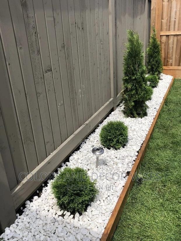White Pebbles Stones For Compound Decor - main view