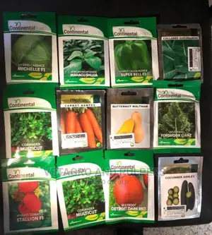 Vegetables Seeds