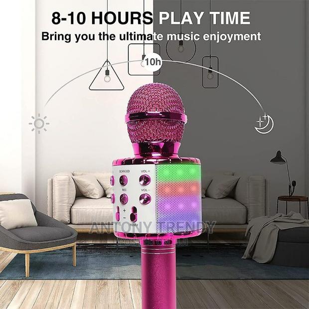 Handheld Karaoke Mic Speaker Machine - main view