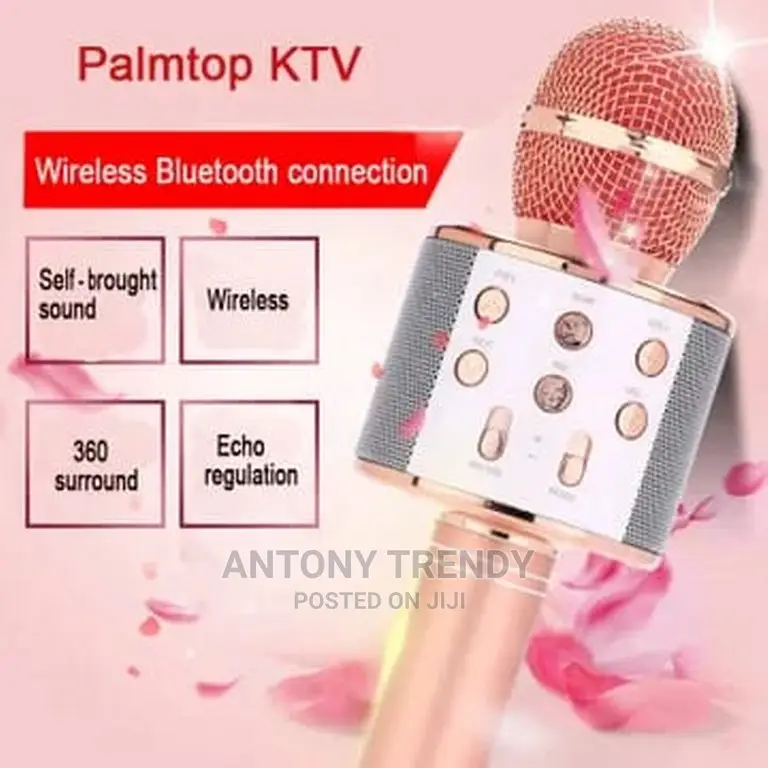 WS858 Wireless Bluetooth Karaoke Microphone