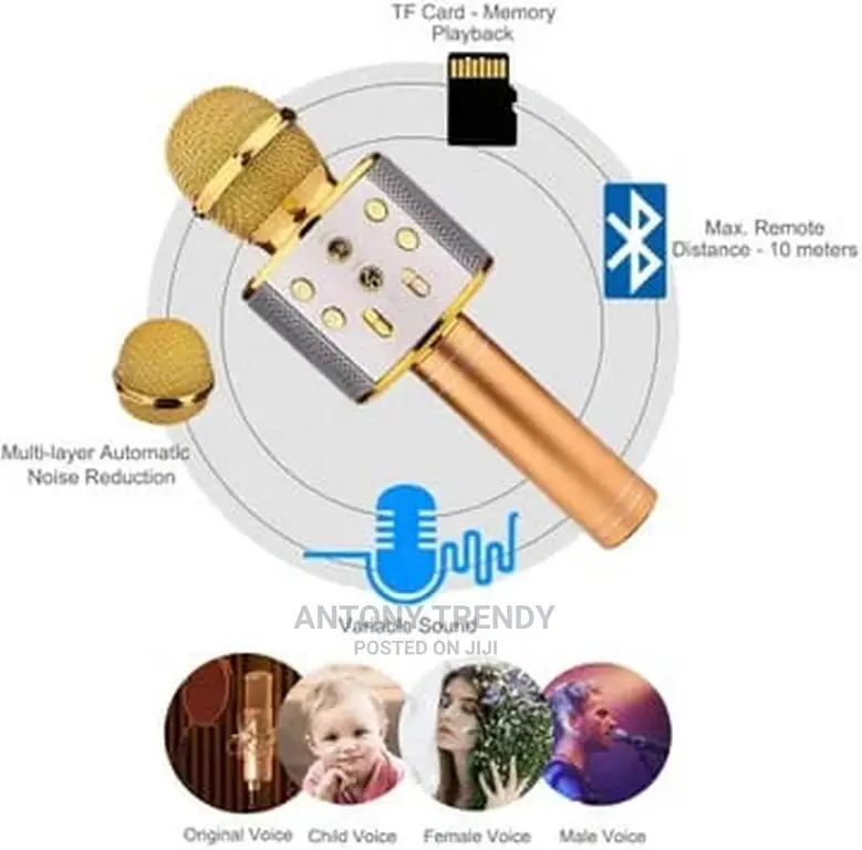 Karaoke Microphone Wireless Singing Machine