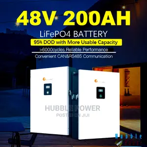 Lithium Ion Phosphate Battery 10kwh 51.2v 6000cycles 80%Dod