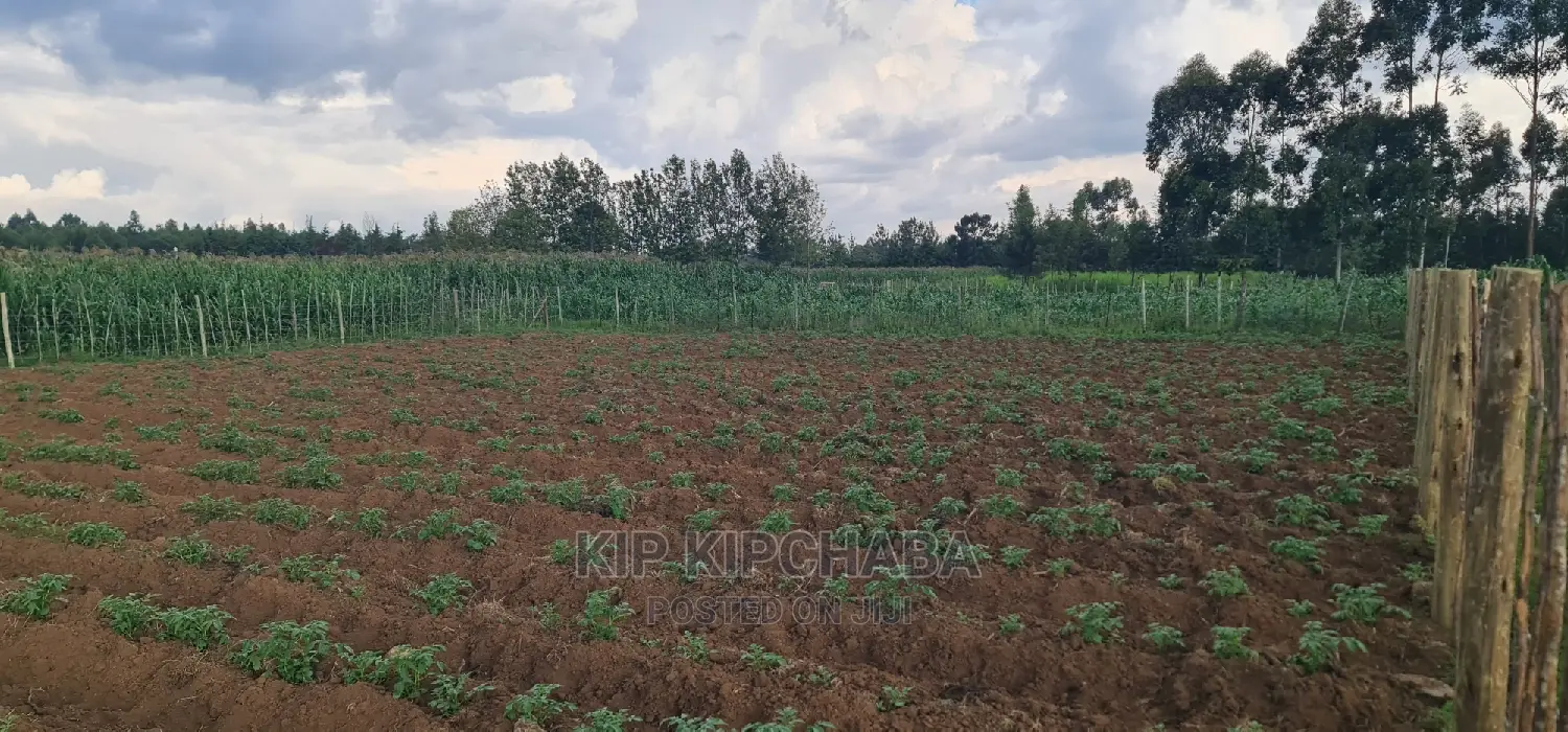 1⁄4 Plot For Sale In Royalton Annex In Eldoret