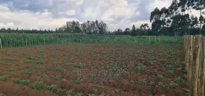 1⁄4 Plot For Sale In Royalton Annex In Eldoret