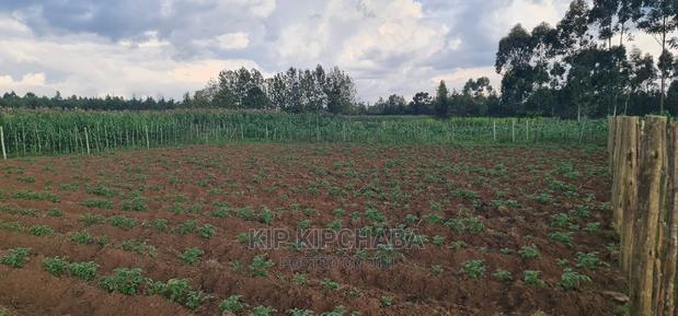 1⁄4 Plot For Sale In Royalton Annex In Eldoret