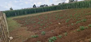 1⁄4 Plot For Sale In Royalton Annex In Eldoret