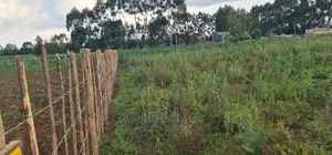 1⁄4 Plot For Sale In Royalton Annex In Eldoret