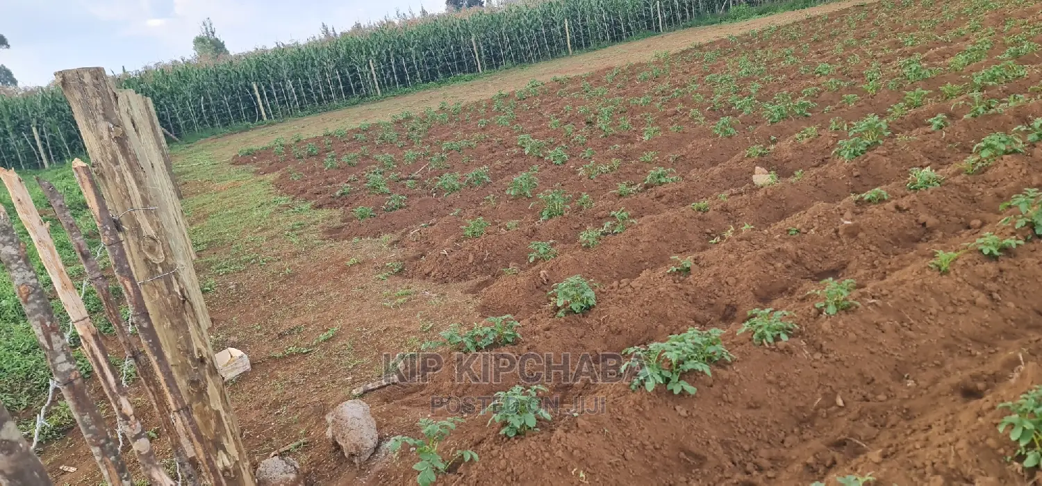 1⁄4 Plot For Sale In Royalton Annex In Eldoret