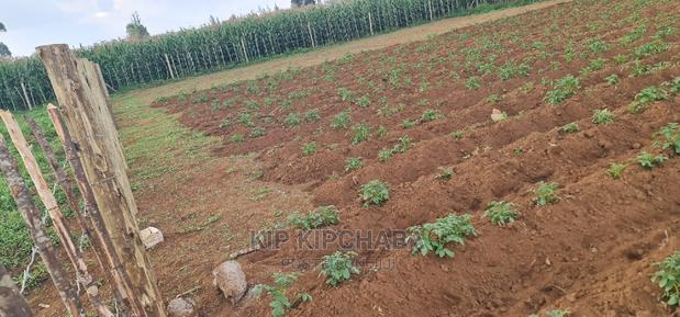 1⁄4 Plot For Sale In Royalton Annex In Eldoret - thumbnail 5