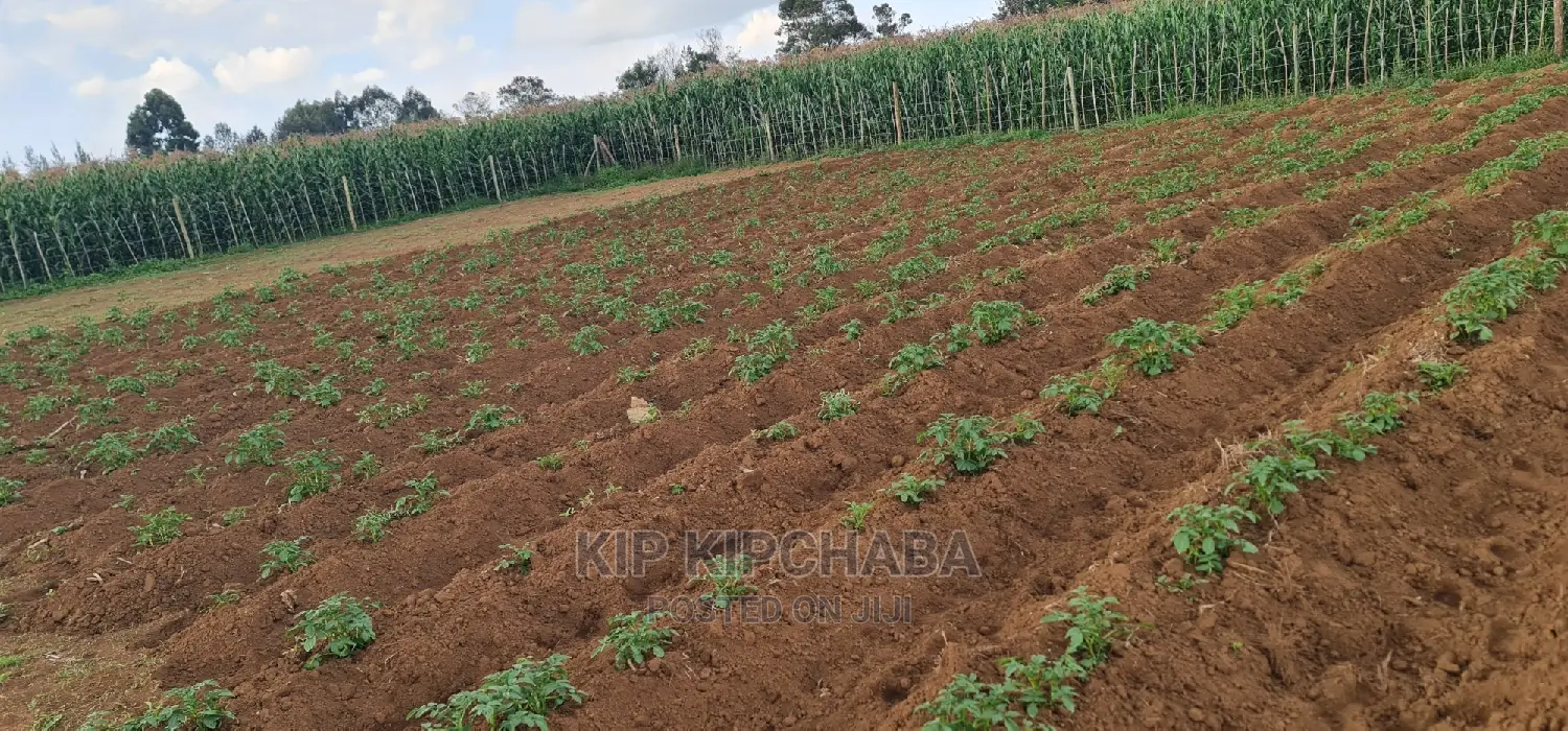 1⁄4 Plot For Sale In Royalton Annex In Eldoret