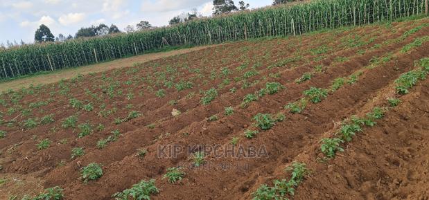 1⁄4 Plot For Sale In Royalton Annex In Eldoret - thumbnail 7