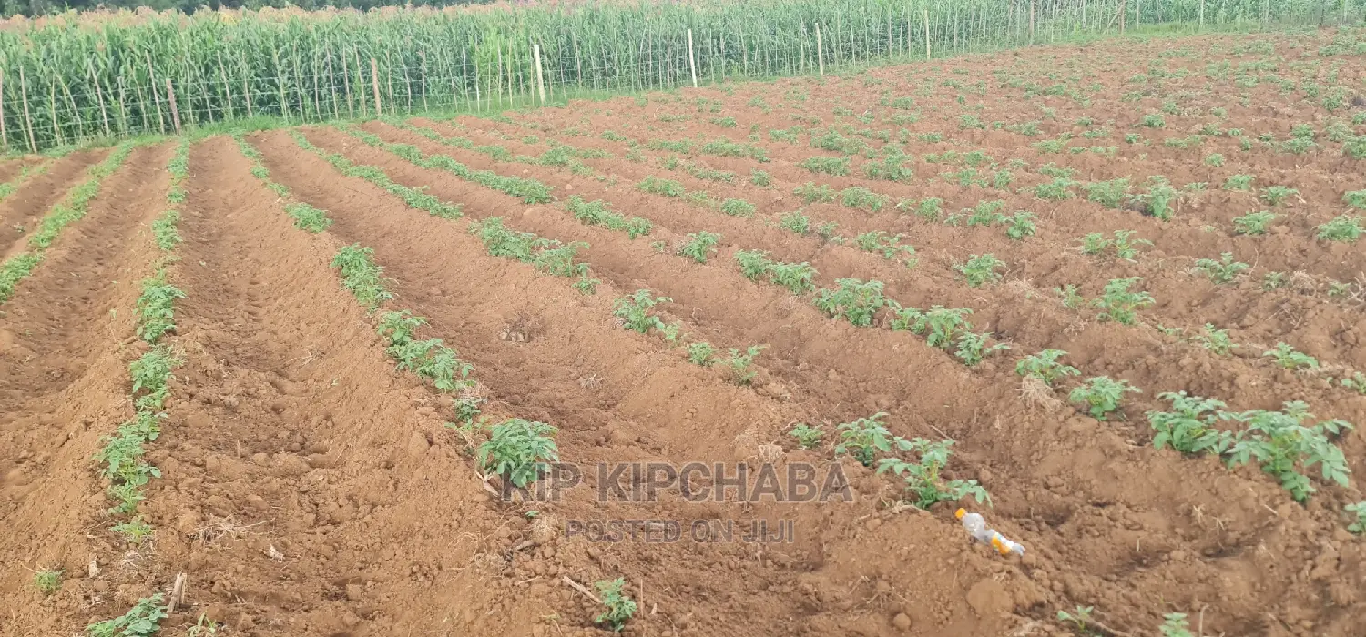 1⁄4 Plot For Sale In Royalton Annex In Eldoret