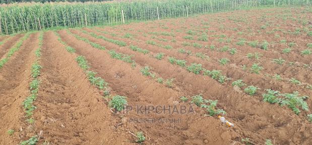 1⁄4 Plot For Sale In Royalton Annex In Eldoret - thumbnail 9