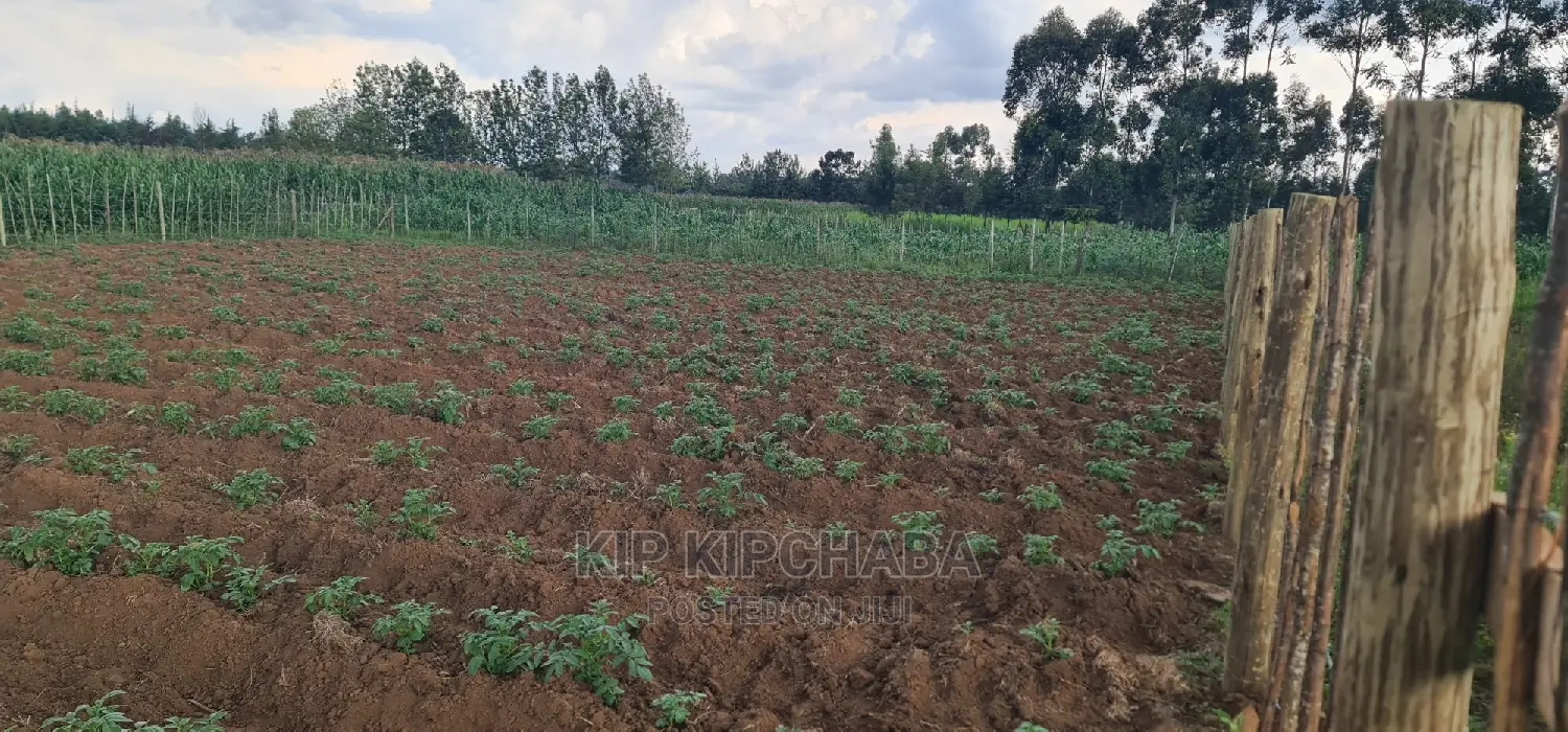 1⁄4 Plot For Sale In Royalton Annex In Eldoret