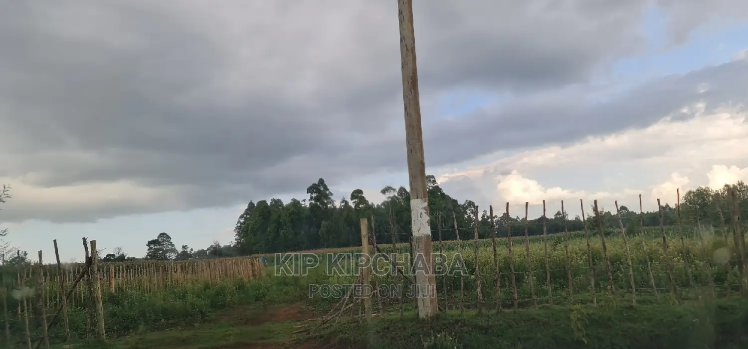 1⁄4 Plot For Sale In Royalton Annex In Eldoret