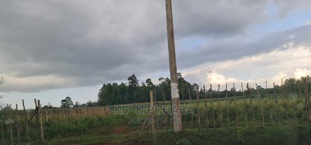 1⁄4 Plot For Sale In Royalton Annex In Eldoret - thumbnail 10
