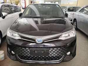 Toyota Corolla Fielder 2016 Black