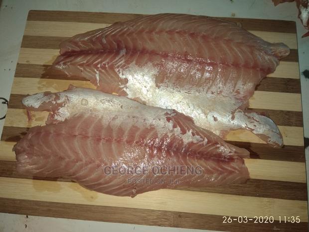 Fish Fillet - main view