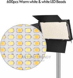 Professional LED 600 PRO With Battery Charger (KIT) - thumbnail 2