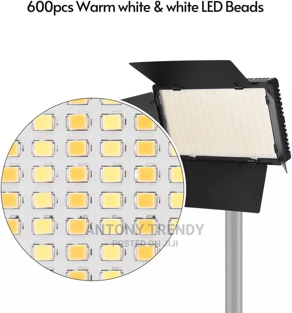 Professional LED 600 PRO With Battery Charger (KIT)