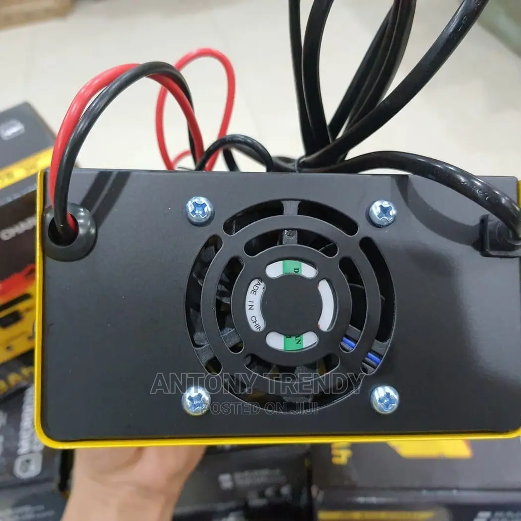 12v/24v Smart Automatic Battery Charger